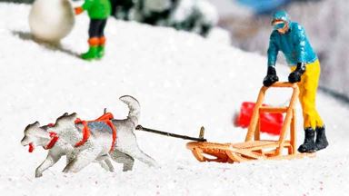 Изображение BUSCH 7817